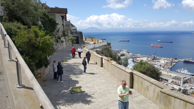 278 gibraltar affen